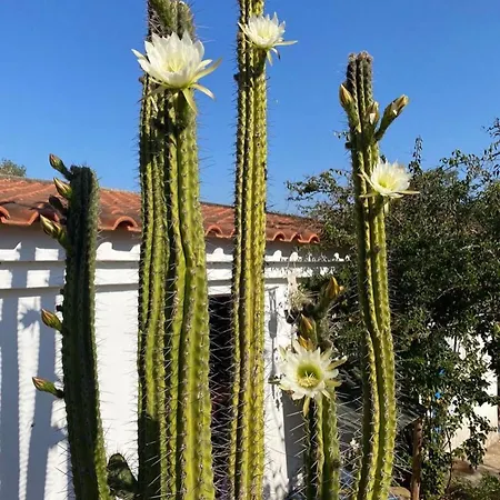 Villa Tres Figos São Luís Exterior foto